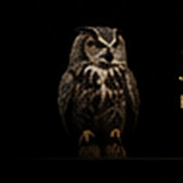 Johns Insurance Group owl emblem